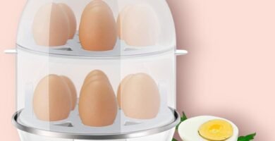egg cooker instructions
