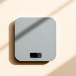 century digital kitchen scale​