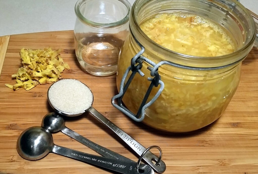 ginger bug recipe