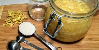 ginger bug recipe​
